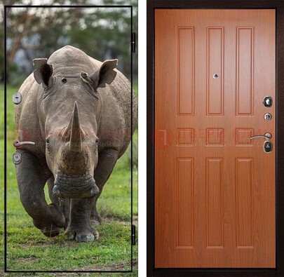 Металлическая дверь с фотопечатью носорога ДФ-31 в Уфе