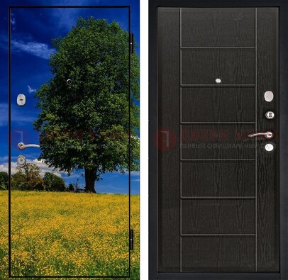 Железная дверь с фотопечатью дерева в поле ДФ-36 в Уфе